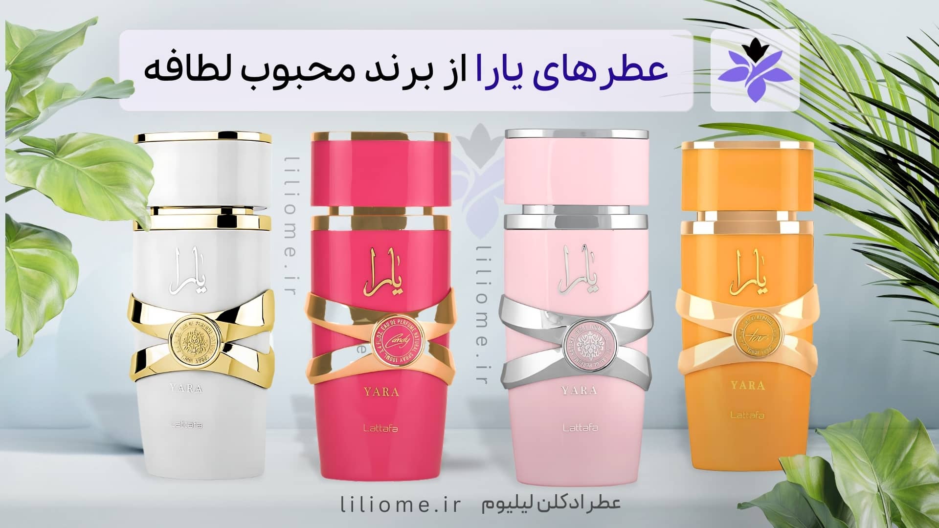 انواع عطر یارا از برند محبوب لطافه