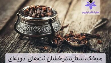 میخک، ستاره درخشان نت‌های ادویه‌ای