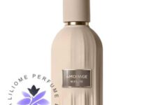 عطر ادکلن آمواج ریزنز | Amouage Reasons